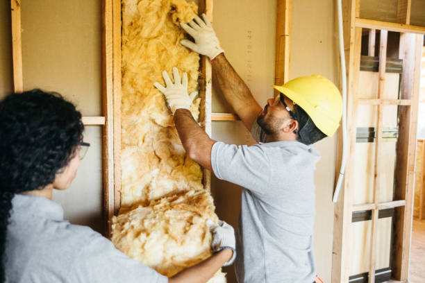 Best Attic Insulation Installation  in Bloomgton, IN